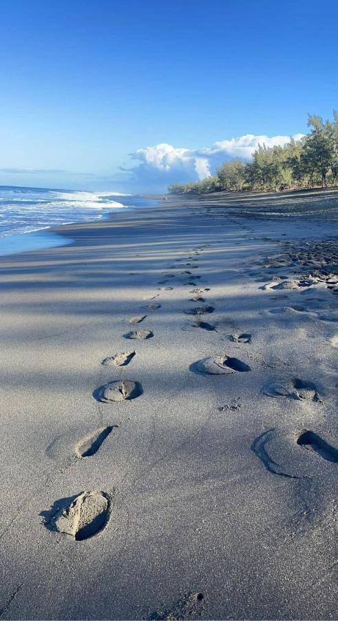 Location Saisonniere Meublee F2 St Leu Face Ocean A 1 Min Plage Lägenhet Saint-Leu Exteriör bild